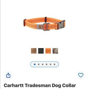 Carhartt Collar - Hunter Orange